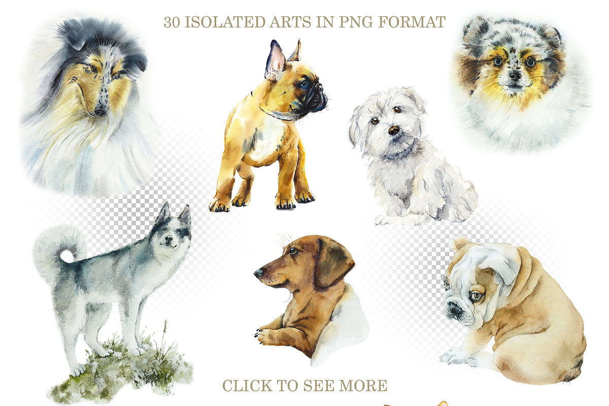 Watercolor dogs. Different Breeds, an Animal Illustration by Budogoshch (Photo 2 of 6)