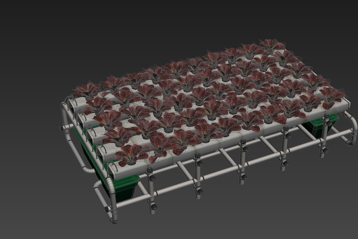 Hydroponics system LG, an Environmental 3D Model by AndrewWhite (Photo 5 of 17)