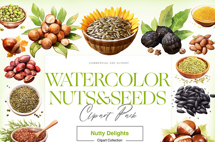 Watercolor Nuts and Seed, Walnut PNG, a Food Illustration by BrushstrokeArtGB