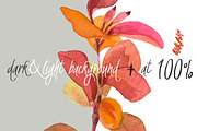 0405 Indian Summer, a Work Illustration by watercolorwild.graphics (Thumbnail 7 of 9)