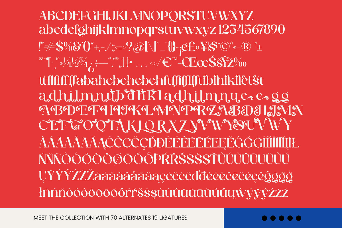 Barkie Hustle Modern Alternate, a Serif Font by timelesstype.co (Photo 10 of 10)
