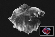 Pencil Drawings Effect Photoshop, a Layer Style Add-On by Hubzway (Thumbnail 7 of 7)