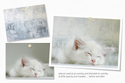 Arctic Snow Textures, a Texture Graphic by rileyBgraphics (Thumbnail 3 of 5)