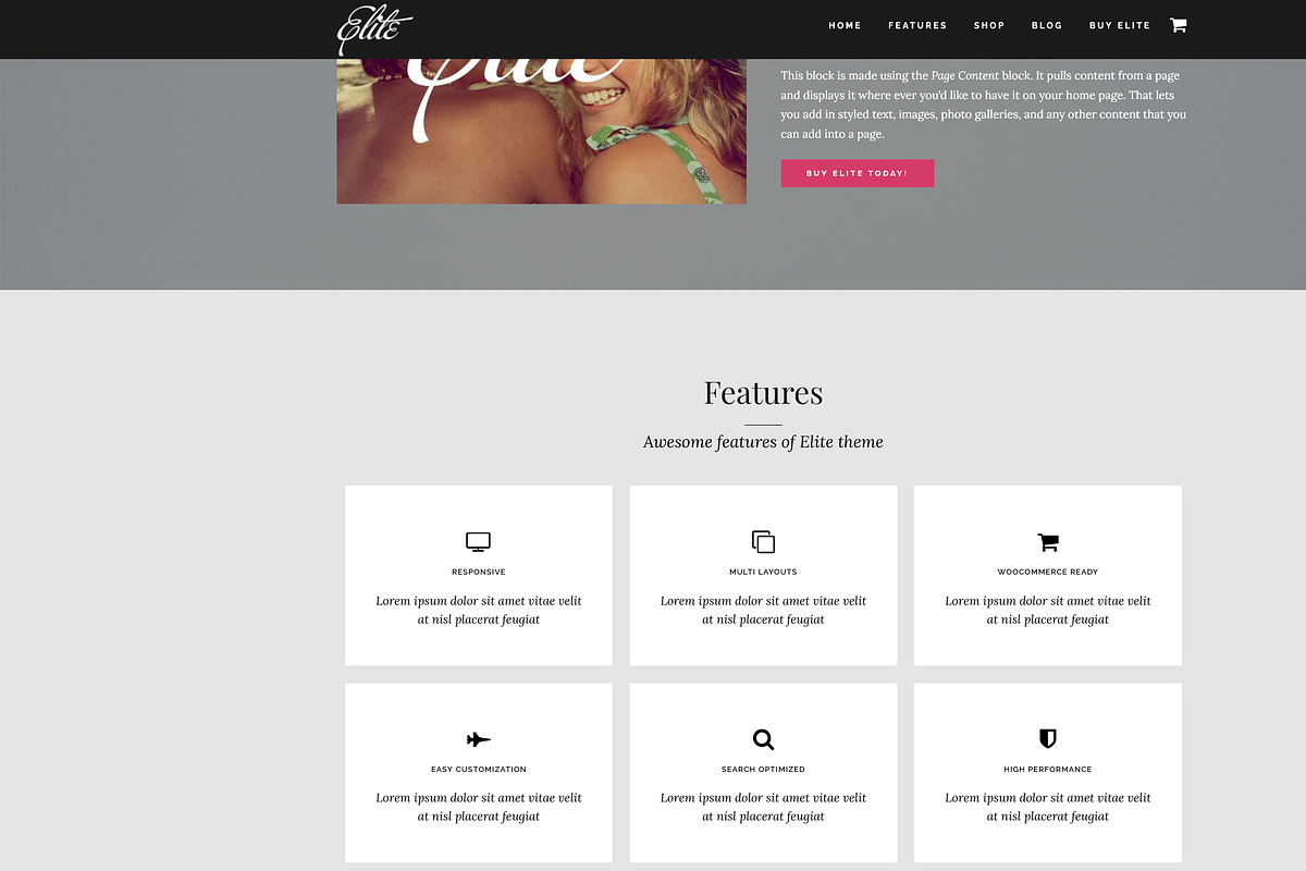 Elite Business/WooCommerce WP Theme, a WordPress Template by Organized Themes (Photo 3 of 12)