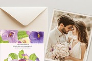 Pansy Watercolor Collection, a Decorative Illustration by Sunshine Art (Thumbnail 6 of 9)