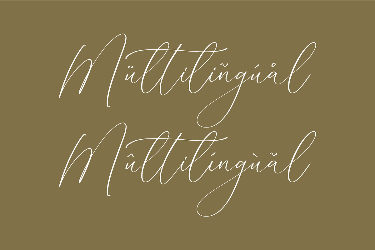 Homylane Dreamyntine Chic Calligraph, a Script Font by Storytype Studio (Photo 11 of 15)
