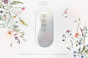SERENITY Wild flowers collection, a Decorative Illustration by Anastezia Luneva (Thumbnail 1 of 9)