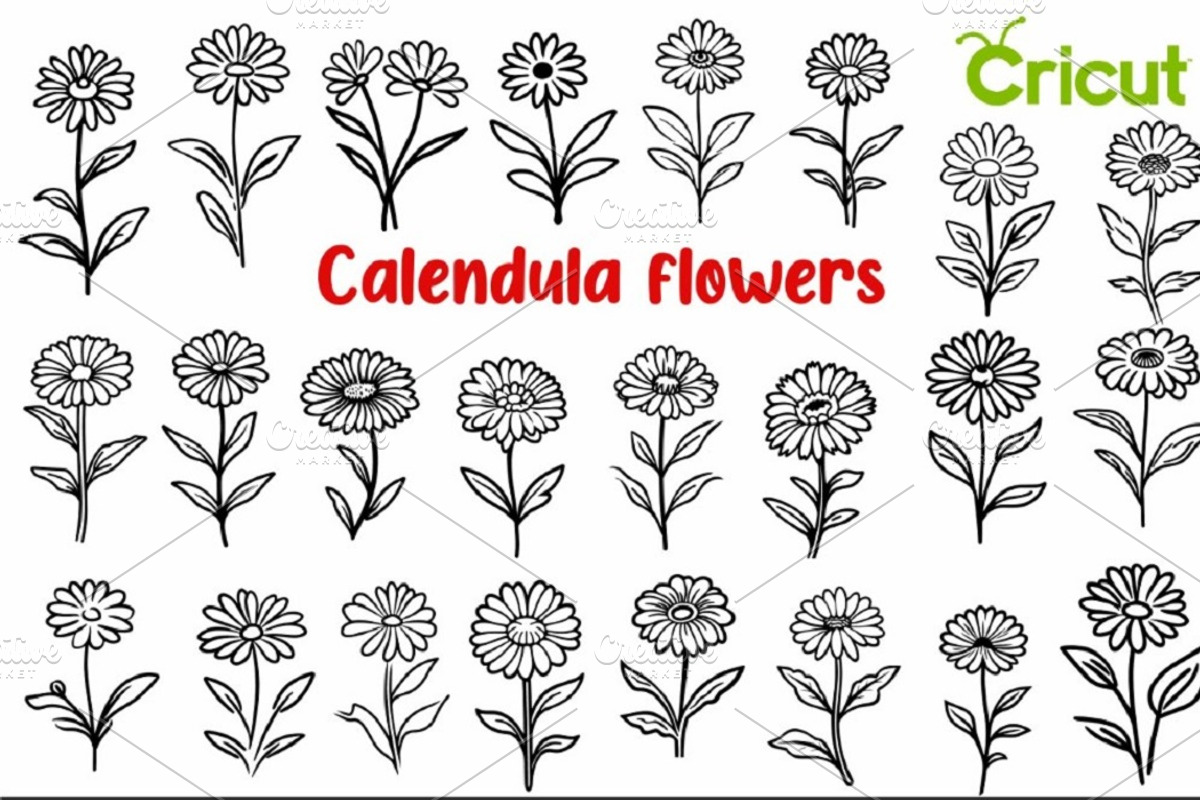 Calendula Flowers SVG Flower Bouquet, a Decorative Illustration by ARTify Illustrations (Photo 1 of 10)