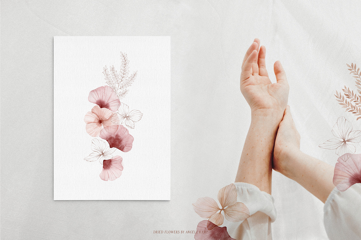 Dried flowers watercolor graphics, an Illustration by Angele Kamp (Photo 5 of 10)