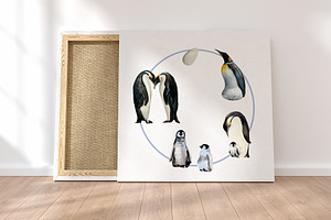 Watercolor Penguin Life Cycle Set