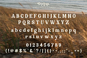 Dorgan, a Serif Font by Flawless And Co (Thumbnail 6 of 12)