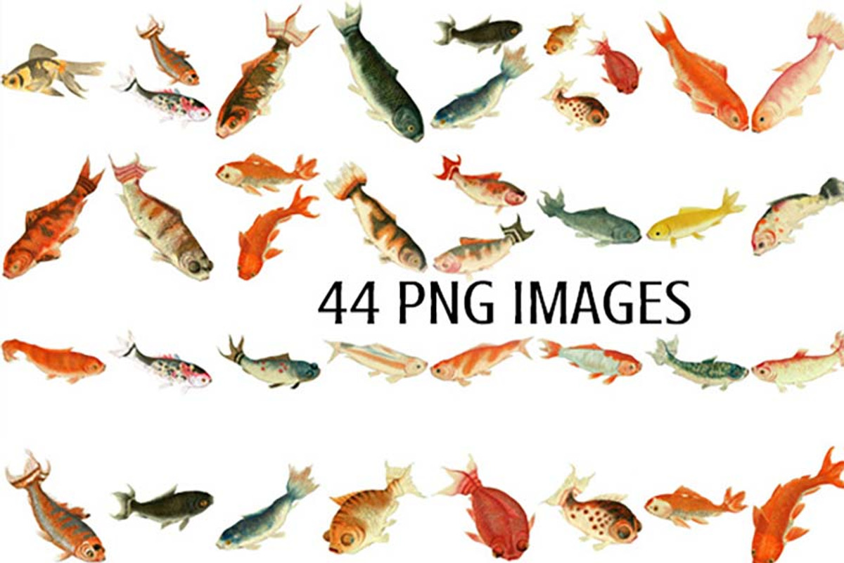 Koi Fish Digital Image Collection preview 2