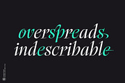 Scrifha Display Font Family, a Script Font by Hurufatfont (Thumbnail 11 of 16)