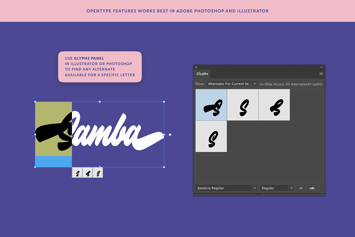 Balancia, a Script Font by Tortugastudios (Photo 34 of 37)