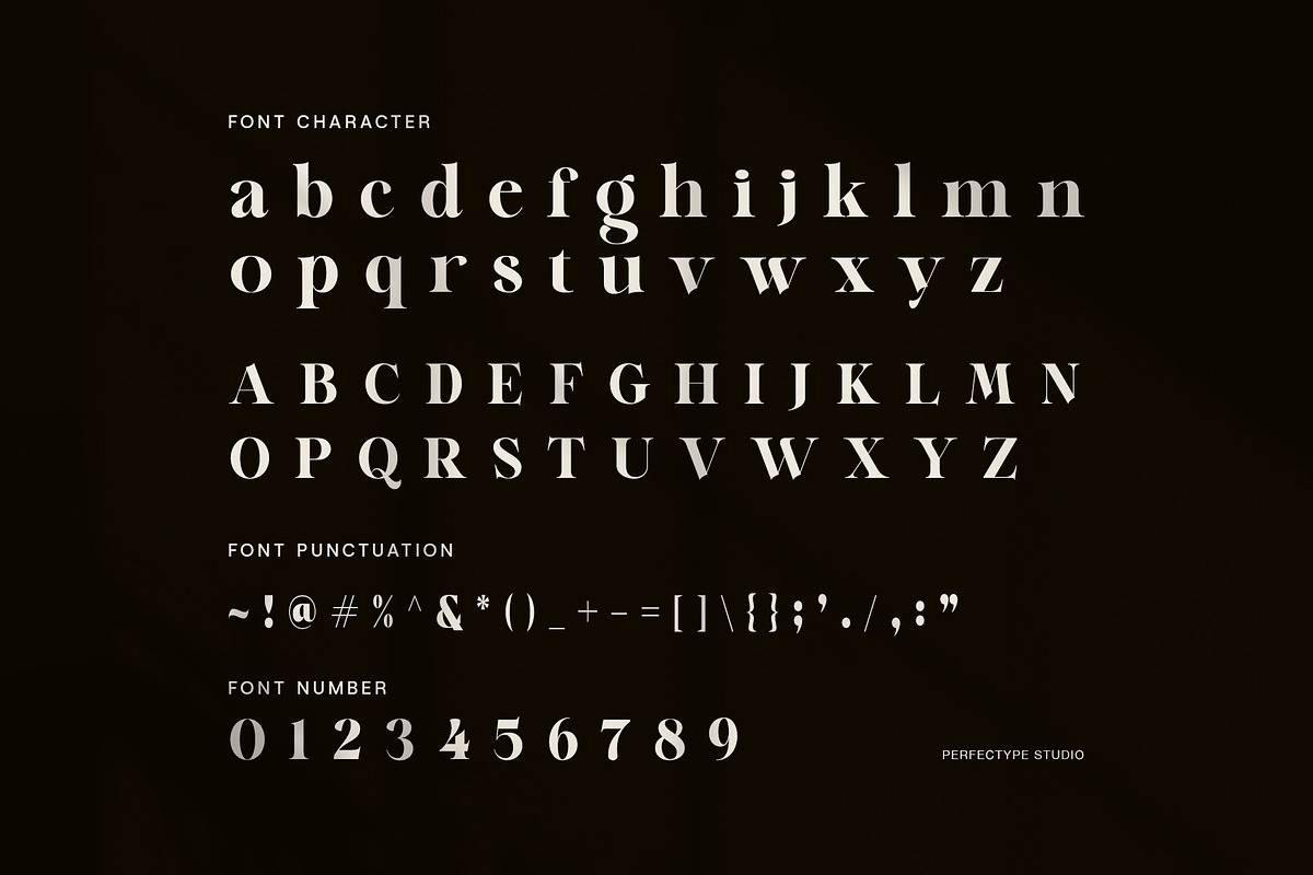 Melfin Modern Serif Font, a Serif Font by Perfectype (Photo 7 of 8)