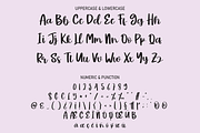 Bruney | Script Font, a Script Font by Scratchones (Thumbnail 3 of 8)