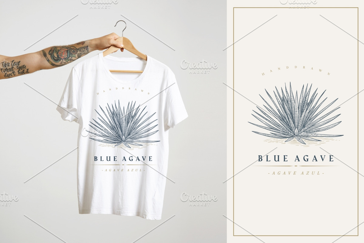 Agave hand drawn vector illustration, an Illustration by Fat Hamster (Photo 3 of 7)
