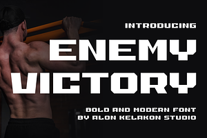 Enemy Victory, a Sans Serif Font by alon kelakon