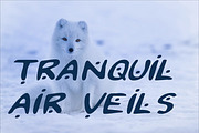 2Toon2 Elegant Serif Font Typeface, a Serif Font by Ink & Pixel Dreams (Thumbnail 4 of 4)
