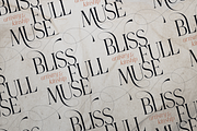 SALE! Golden Tales Serif Collection, a Serif Font by VP Fonts (Thumbnail 7 of 23)