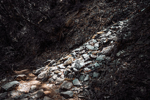 Slate rocks on forest path, a Nature Photo by SkyNext