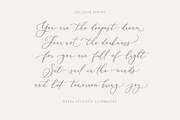 Delicate Elegant Script & Ornaments, a Script Font by Mila Garret (Thumbnail 2 of 11)
