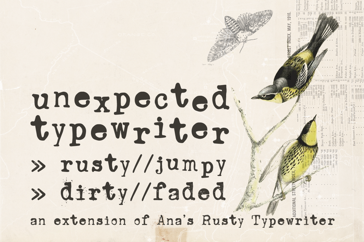 SALE! Typewriter Font Bundle preview 2