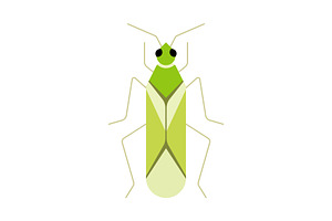 Green Plant Bug Insect, a Solid Icon by Buqancreative
