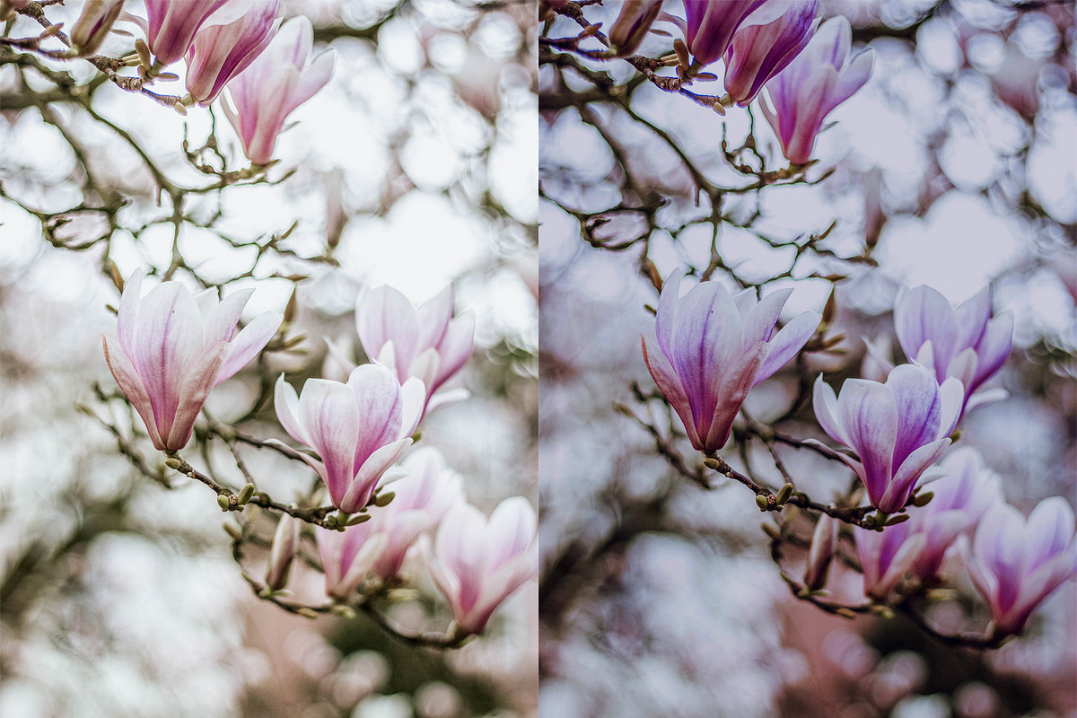 Spring Photoshop Actions, an Action Add-On by Bato (Photo 4 of 16)