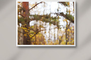 Autumn nature photography set, a Nature Photo by pictures for you (Thumbnail 3 of 22)