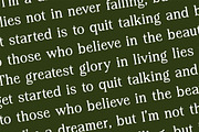 Regime Misfiles Serif Oldstyle Font, a Serif Font by Letterena Studios (Thumbnail 9 of 15)