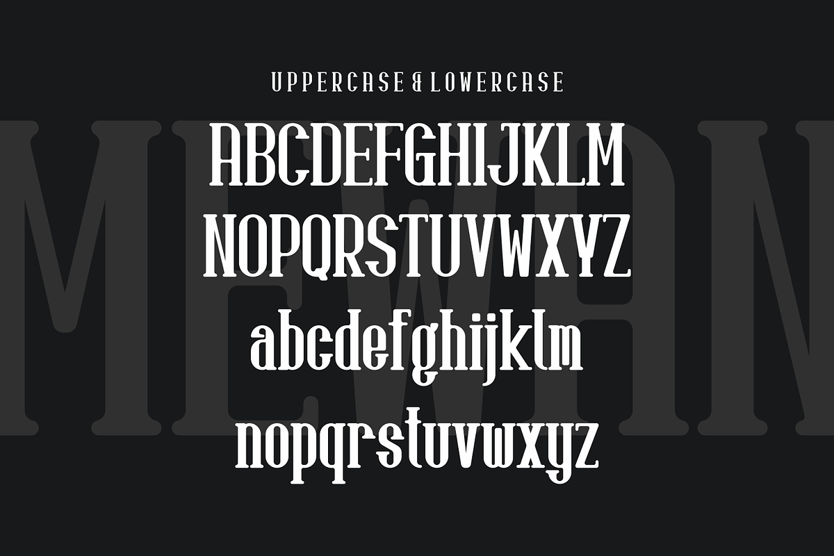 Mewan - Serif Vintage Font, a Serif Font by lelevien (Photo 3 of 4)