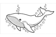Whale Line Art Vector Bundle, an Illustration by yasushie (Thumbnail 17 of 51)