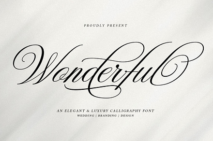 Wonderful Script, a Script Font by Has_rizal