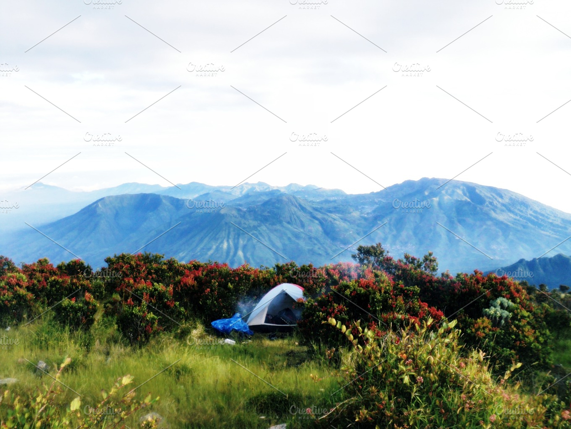 Top Mountain Sindoro