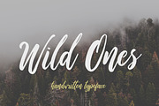 Wild Ones, a Script Font by Dikas Studio (Thumbnail 1 of 8)
