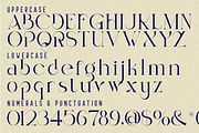 Resilient Essence - Elegant Font, a Serif Font by 177Studio (Thumbnail 7 of 8)