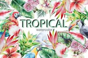 Tropical Watercolor.