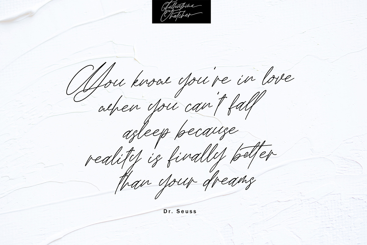 Fallenthina Thatcher, a Script Font by pineungtype (Photo 9 of 11)