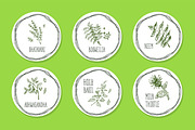 Ayurvedic Herb Collection, an Object Graphic by AV Design (Thumbnail 3 of 5)