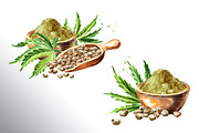 Cannabis. Watercolor collection, a Healthcare Illustration by Daria Ustiugova (Thumbnail 7 of 12)