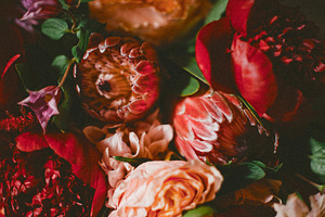Bunch of Bright Red Flowers