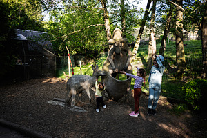Children interacting with kangaroo statues in a lush outdoor park setting, a Photo by AS photostudio