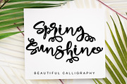 Spring Sunshine, a Script Font by Letterara (Thumbnail 1 of 7)
