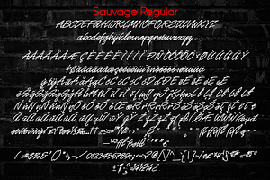 Sauvage - Monoline Script Family