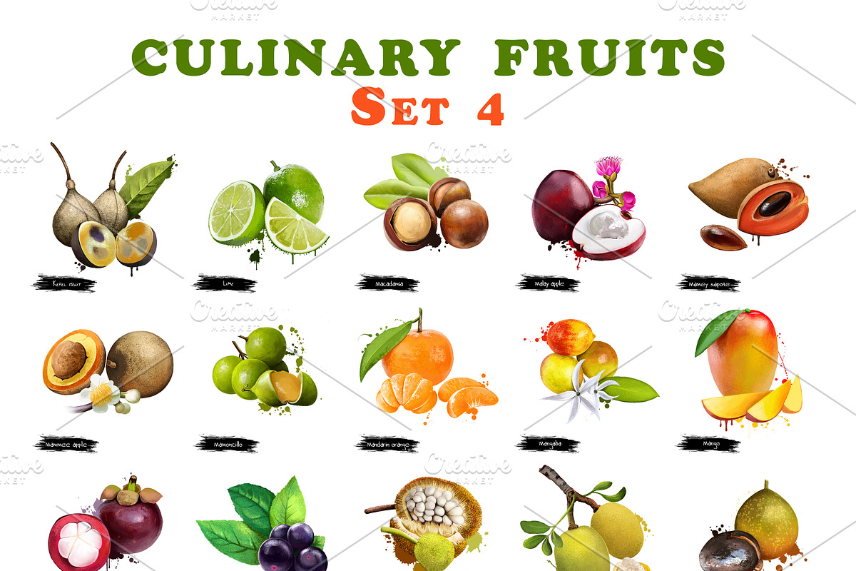 Culinary fruit set part 4, an Object Graphic by Dneprstock