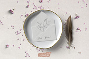 Organic shapes, botanical forms, a Decorative Illustration by JuDesign (Thumbnail 12 of 13)
