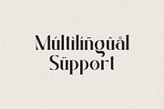 Badger Glance - Modern Serif Font, a Serif Font by Heinzel Std (Thumbnail 13 of 14)
