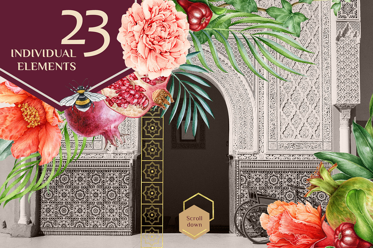 Oriental Botanical Watercolor Set, a Decorative Illustration by AnitaPol (Photo 2 of 15)