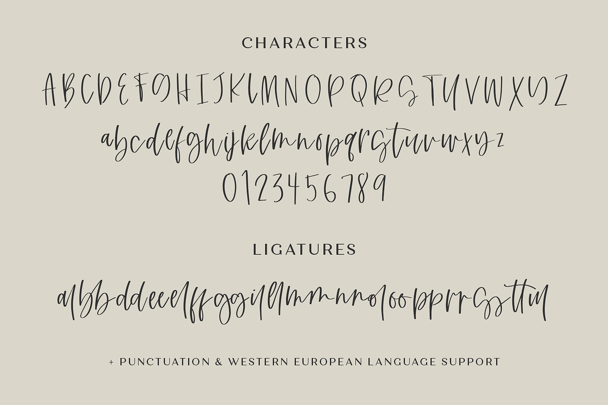 Aberfoyle South Script, a Script Font by Beck McCormick (Photo 10 of 11)